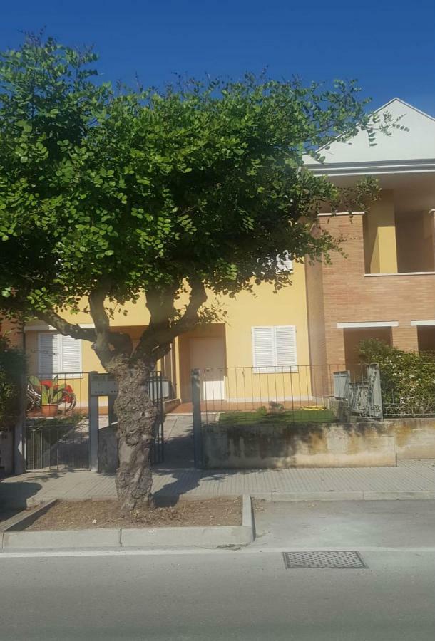 Appartamento Emilia Cupra Marittima Exterior foto